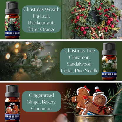 Winter Essential Oils Set