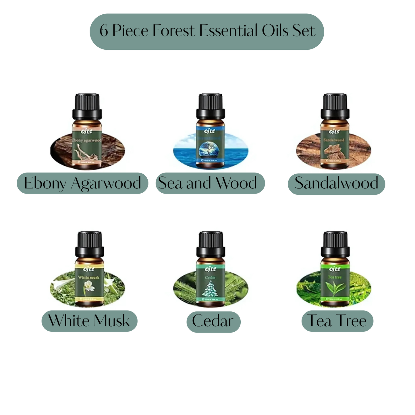Forest Essential Oil Set